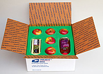 foam box inserts for fruit shipping